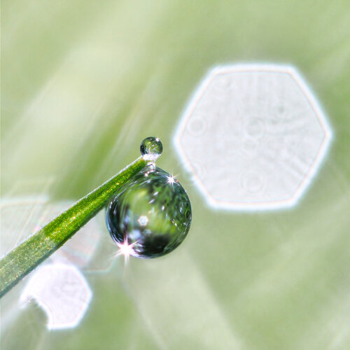 Elixir - fine art photography print di Inna Etuvgi, Fotografia in vendita su Singulart