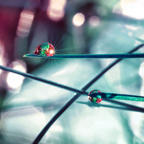 Memories About Aurora Lights - fine art photography print di Inna Etuvgi, Fotografia in vendita su Singulart
