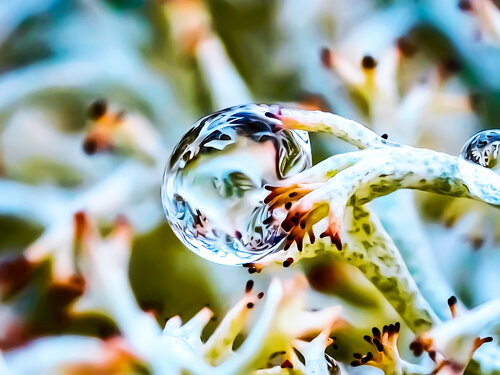 Inside the Drop - studio edition - art photo print by Inna Etuvgi, Photography for Sale on Singulart