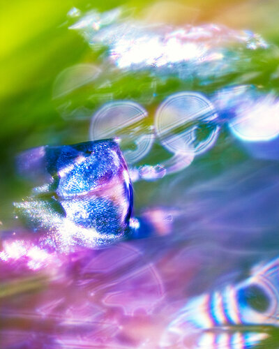 THE WATCHER - studio edition van Inna Etuvgi, Fotografie te koop op Singulart