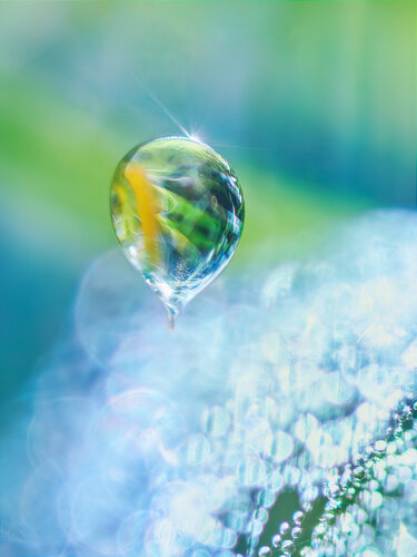 Above the Clouds – Dreamy Fine Art Macro by Inna Etuvgi by Inna Etuvgi, Photography for Sale on Singulart