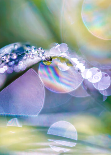 DAWN DREAMS – Studio Edition by Inna Etuvgi, Photography for Sale on Singulart