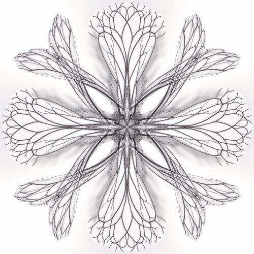 RUCCOLA – Fine Art Macro Photography by Inna Etuvgi par Inna Etuvgi, Photographie en vente sur Singulart