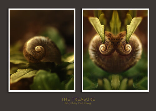 The Treasure - Diptych - Inna Etuvgi - 40x50 cm each - Signed von Inna Etuvgi, Fotografie kaufen auf Singulart