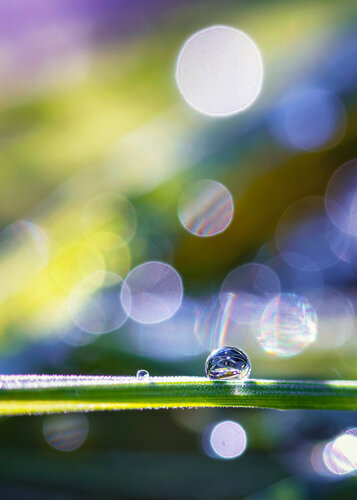 Shine - Studio Edition by Inna Etuvgi, Photography for Sale on Singulart