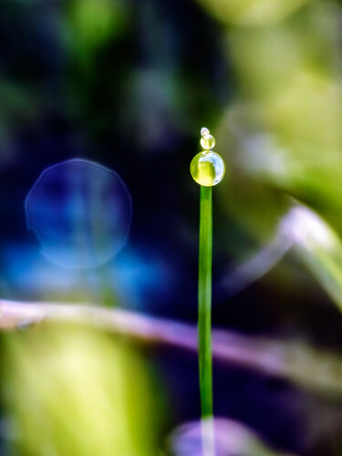 BERLINER FERNSEHTURM - Studio Edition von Inna Etuvgi, Fotografie kaufen auf Singulart