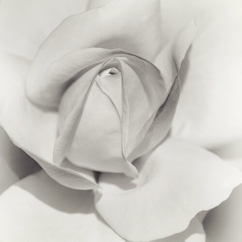 LAYERS OF BEAUTY - studio edition Inna Etuvgi