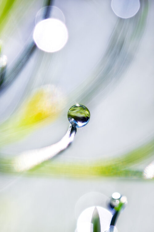 The Beauty of the Moment - Medium size fine art photography print on paper Inna Etuvgi