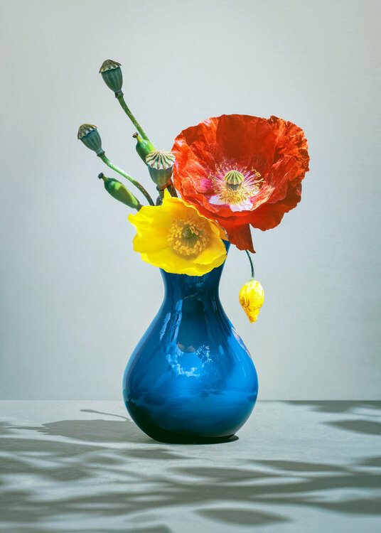 Summer Vibes – Fine Art Botanical Photography by Inna Etuvgi Inna Etuvgi