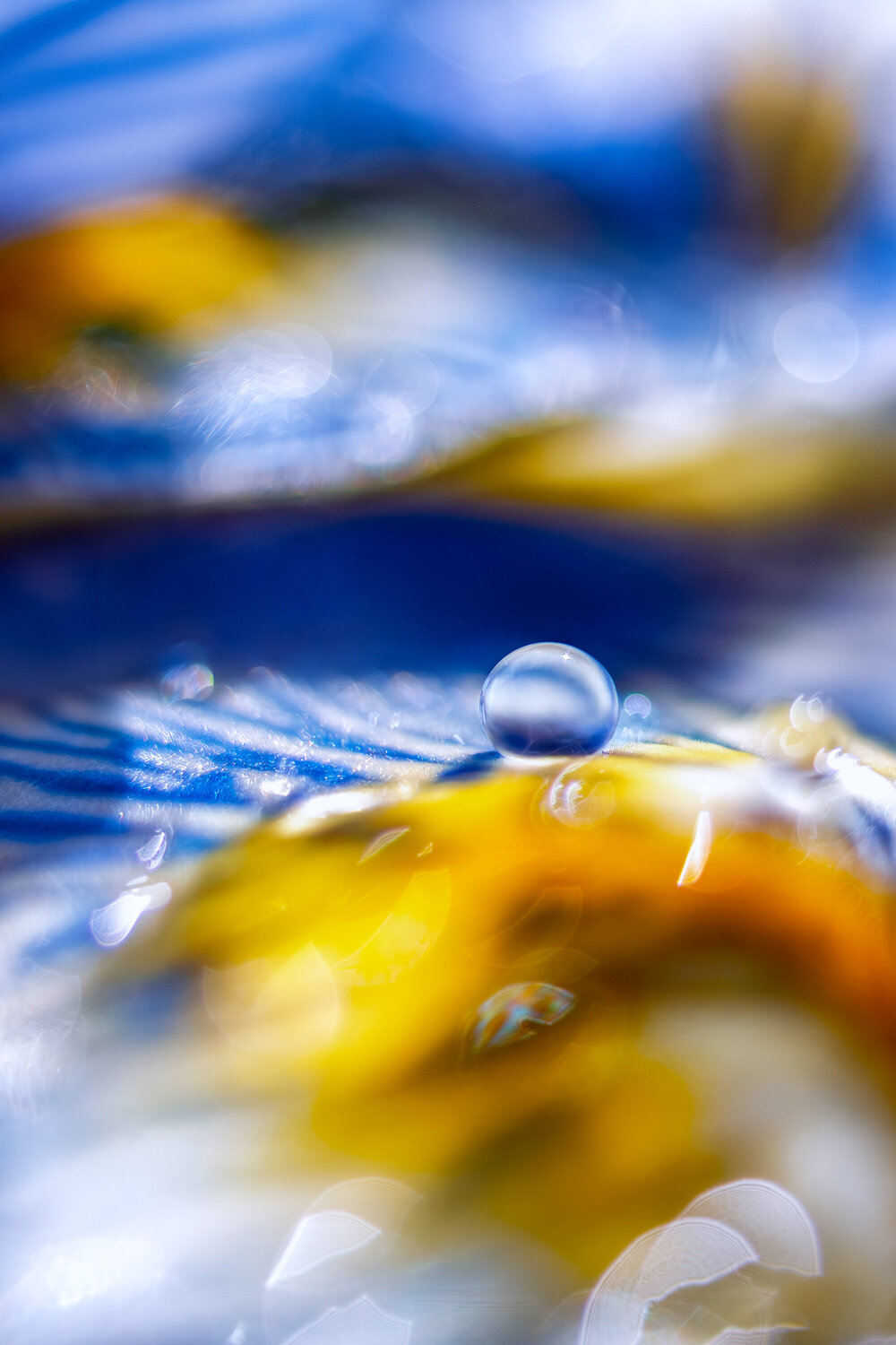 Iris Dreamscapes - fine art photography print Inna Etuvgi Fotografie zu verkaufen