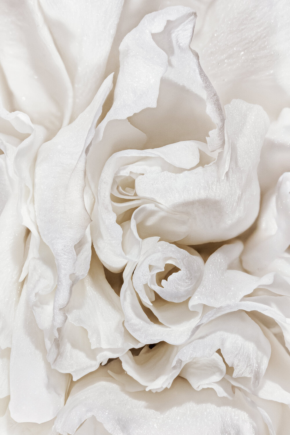 Creamy Passion - art photography print Inna Etuvgi Fotografie zu verkaufen