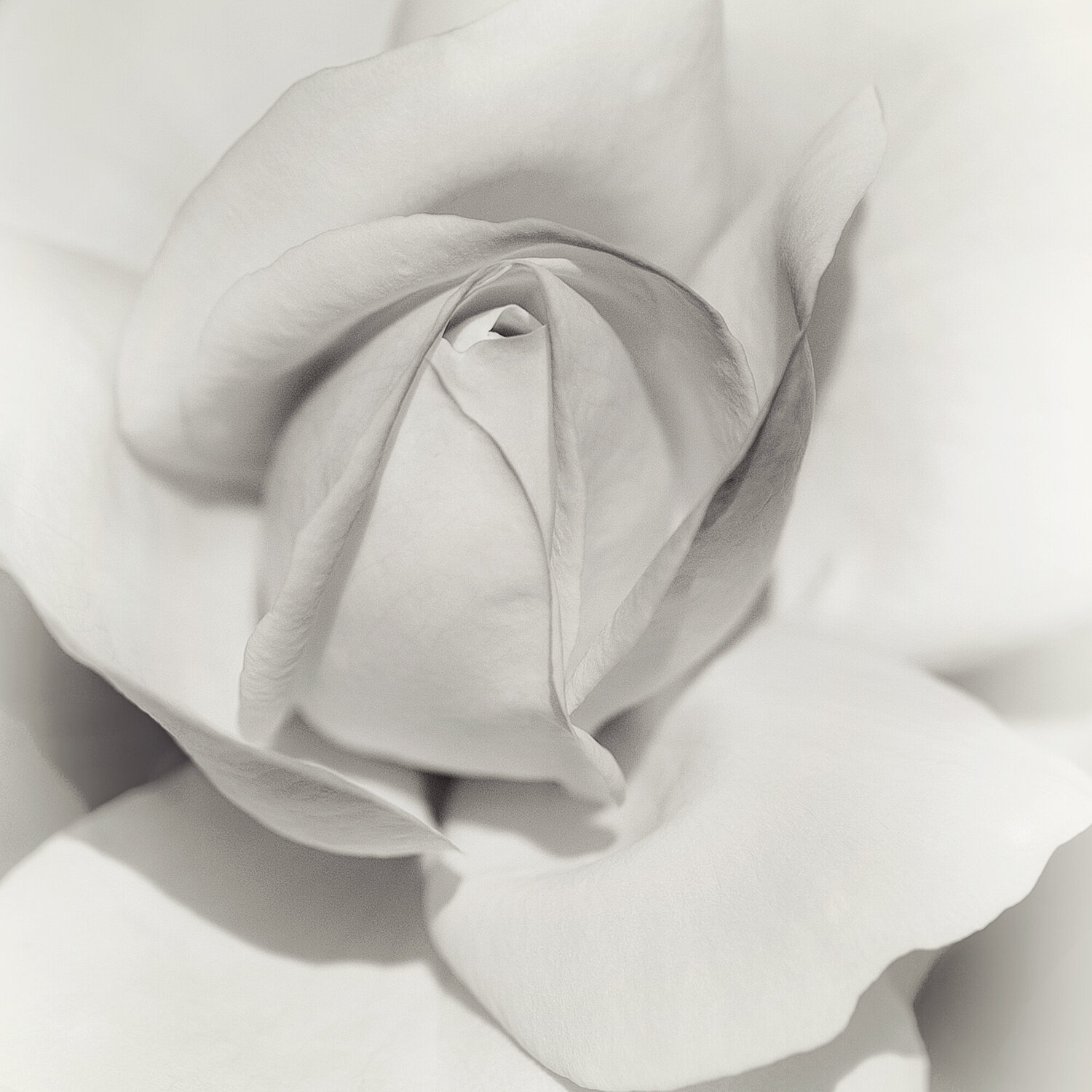 LAYERS OF BEAUTY - studio edition Inna Etuvgi