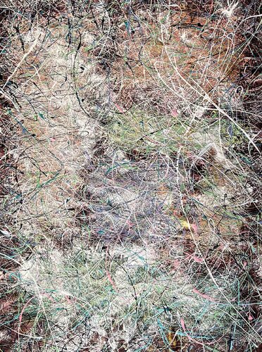 Dreaming by the sea van Nadiia Antoniuk, Schilderij te koop op Singulart