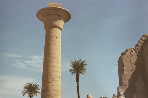 Palm trees and columns Matthieu Montjotin