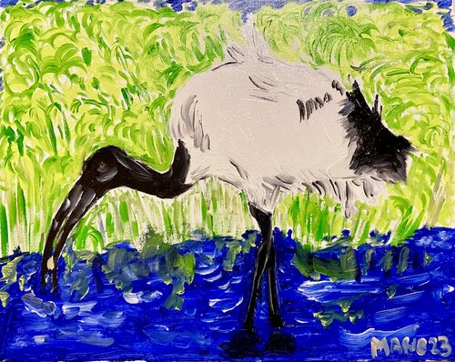 ibis Mario Pratesi