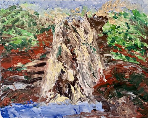 La cascata dell’Arditello van Mario Pratesi, Schilderij te koop op Singulart