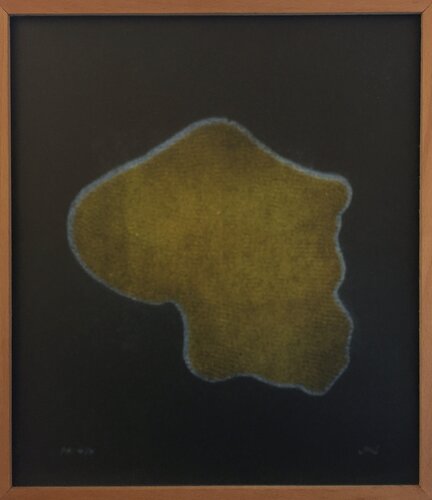 Sans titre José María Sicilia