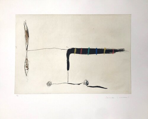 Avió mig-1 Riera i Aragó