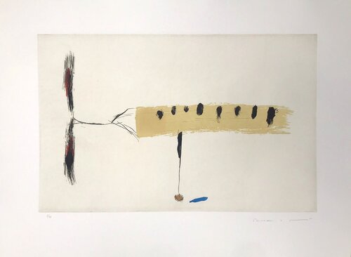 Avió mig-4 Riera i Aragó