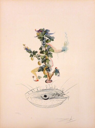 Flordali - Les Fruits : Révérence du groseiller van Salvador Dalí, Afdruk te koop op Singulart