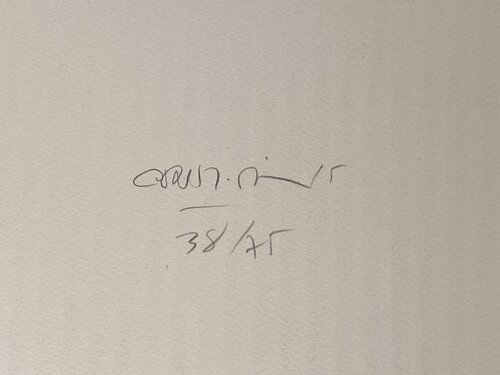 Caura-6 by Carlos Cruz-Diez, Print for Sale on Singulart