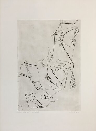 Marino Marini、CAVALLO、海外版超希少レゾネ、新品額付 Marino Marini、CAVALLO、海外版超希少レゾネ、新品額付 Marino Marini