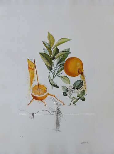 Flordali - Les Fruits : Pamplemousse érotique par Salvador Dalí, Édition en vente sur Singulart