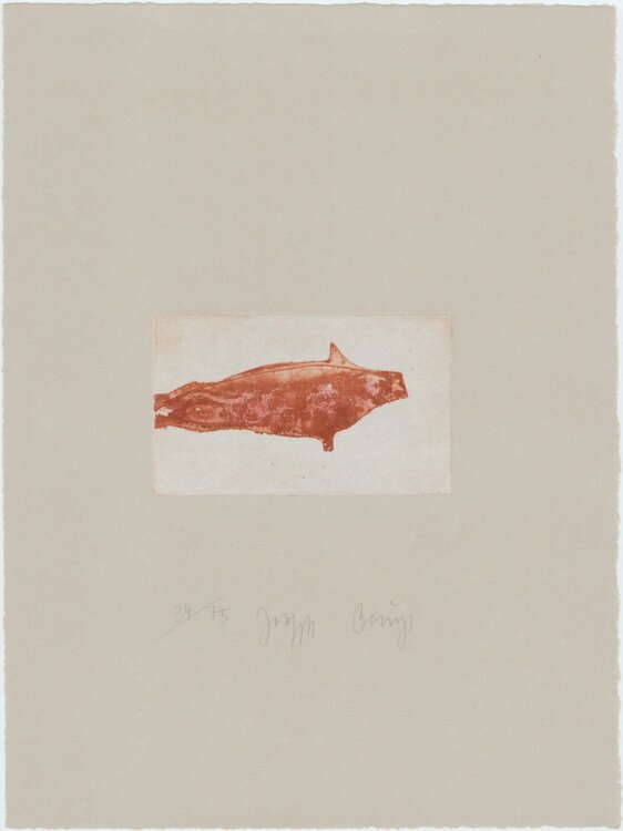 Robbe II Joseph Beuys