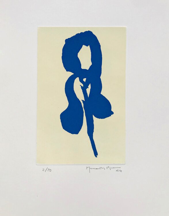Iris blau 1 Joan Hernández Pijuan