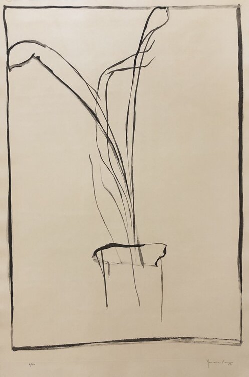 Planta de saló 1 Joan Hernández Pijuan