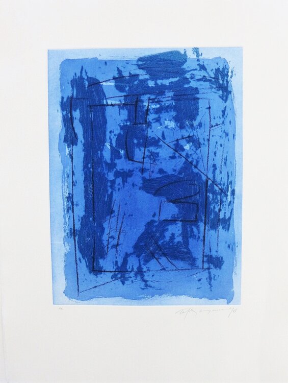 Circ 2 Albert Ràfols-Casamada