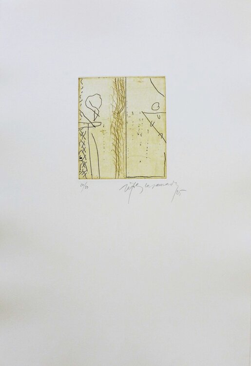 Taula 8 Albert Ràfols-Casamada