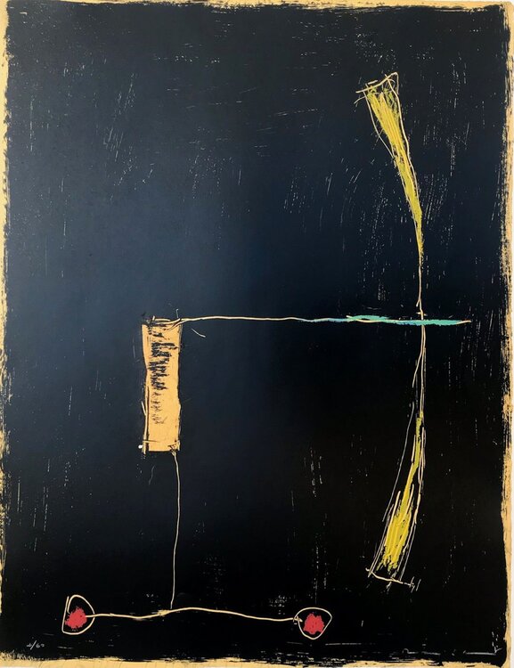 Avio sobre negre 3 Riera i Aragó