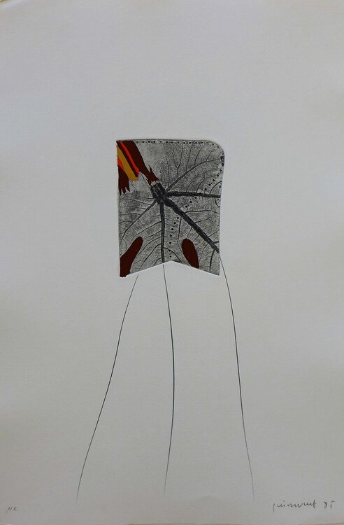 Fulles 7 Josep Guinovart
