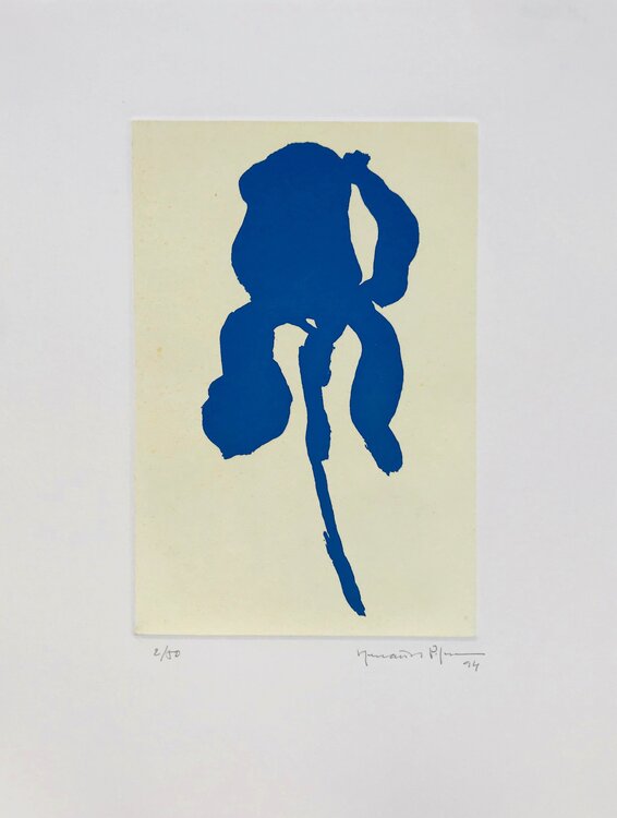 Iris blau 6 Joan Hernández Pijuan