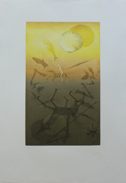 Quichotte 5 Joan Ponç