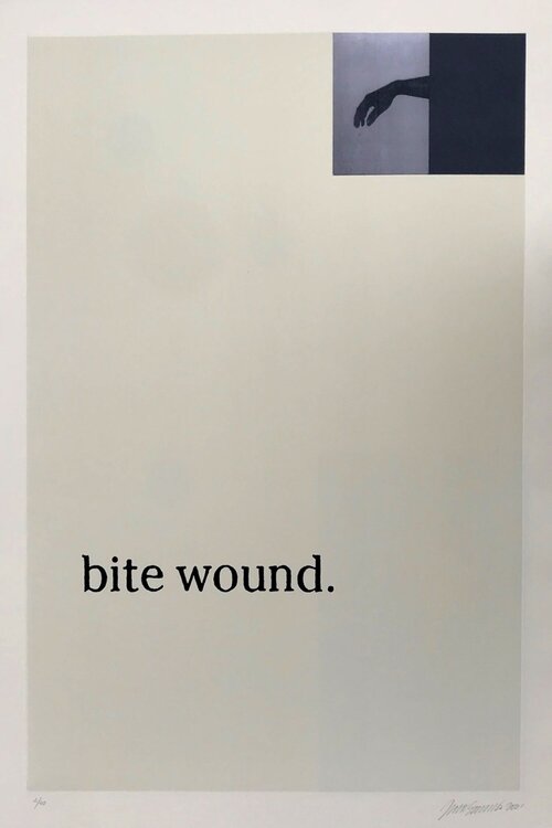 Sans titre Julião Sarmento