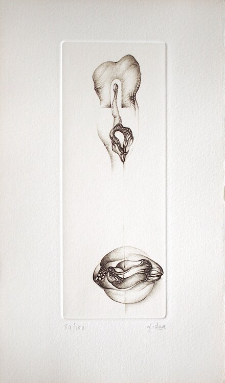 Gris 3 Fred Deux