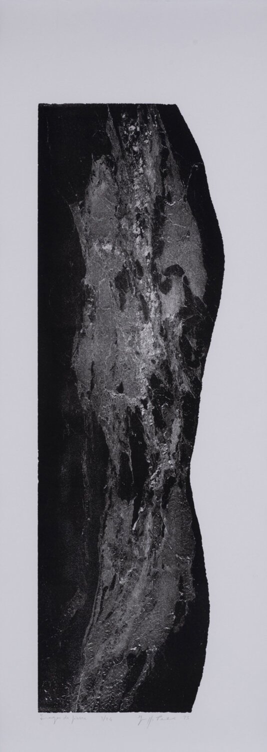 Images de Pierres Giuseppe Penone