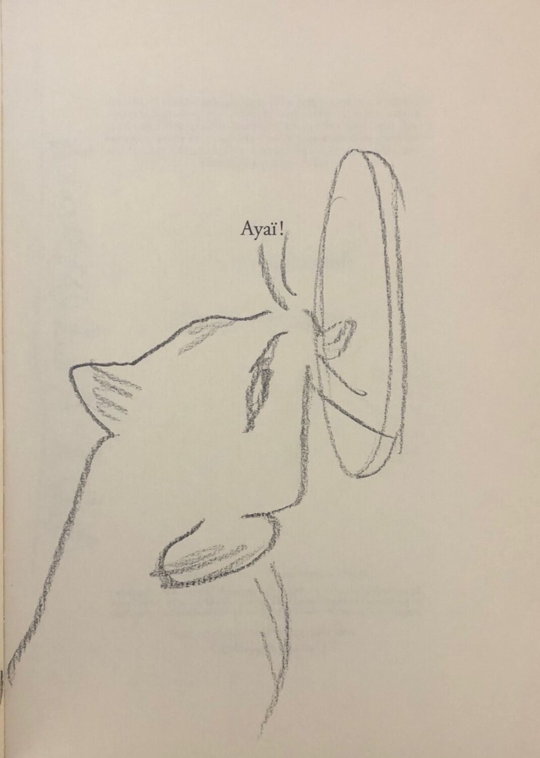 Ayai Adel Abdessemed