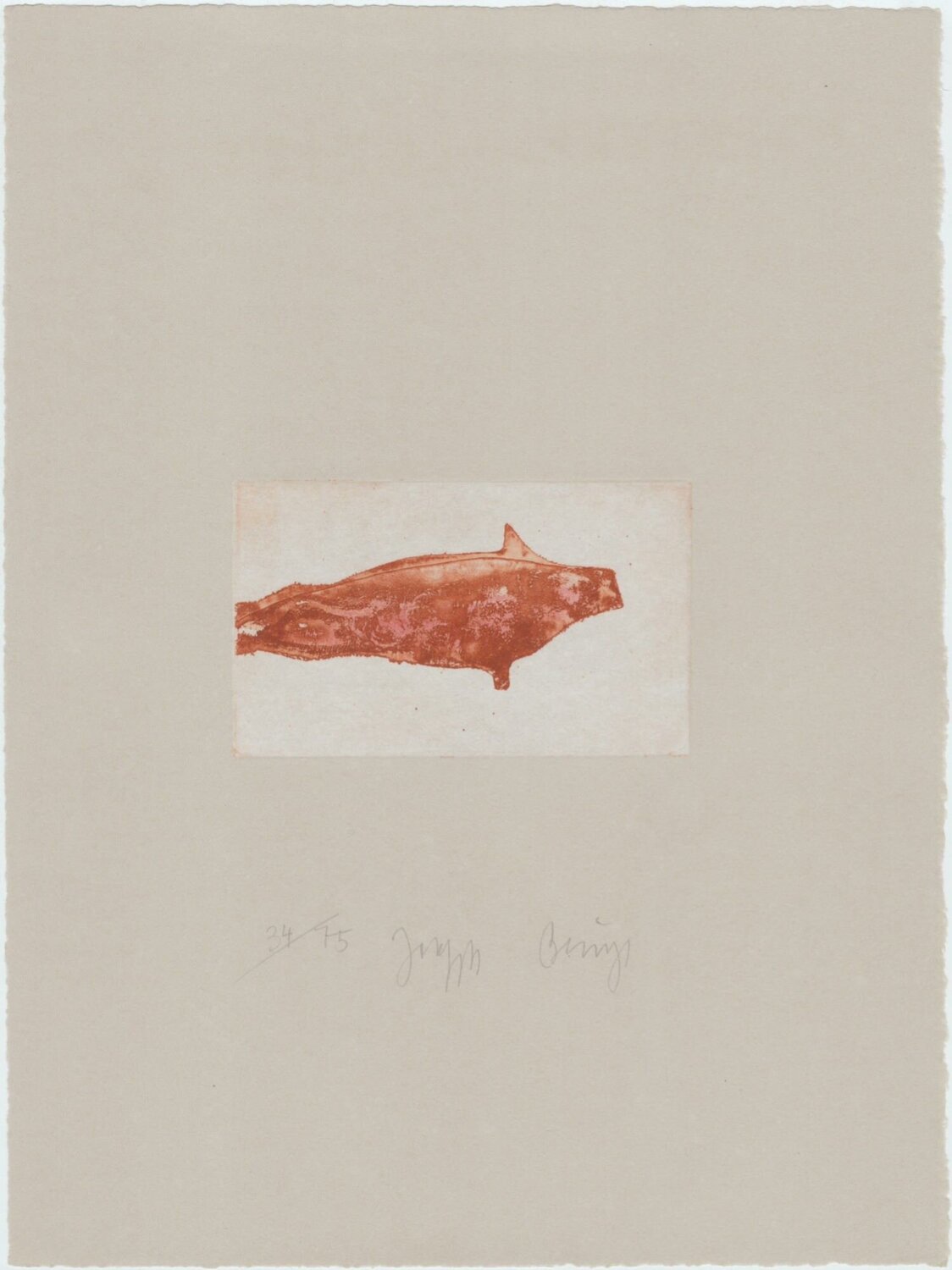 Robbe II Joseph Beuys