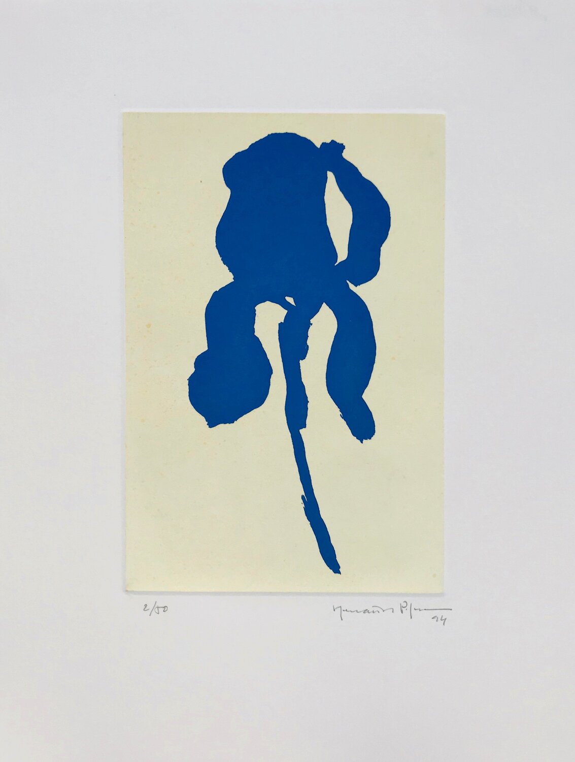 Iris blau 6 Joan Hernández Pijuan