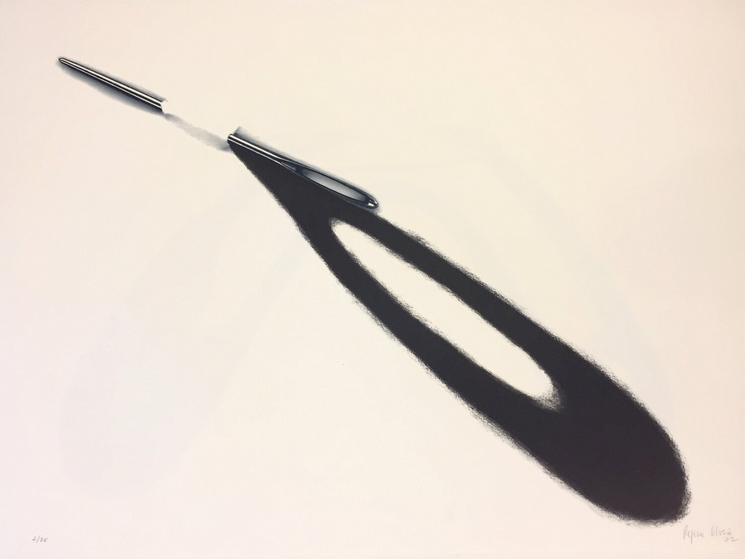 Algua - Armarinhos Regina Silveira Stampa in vendita