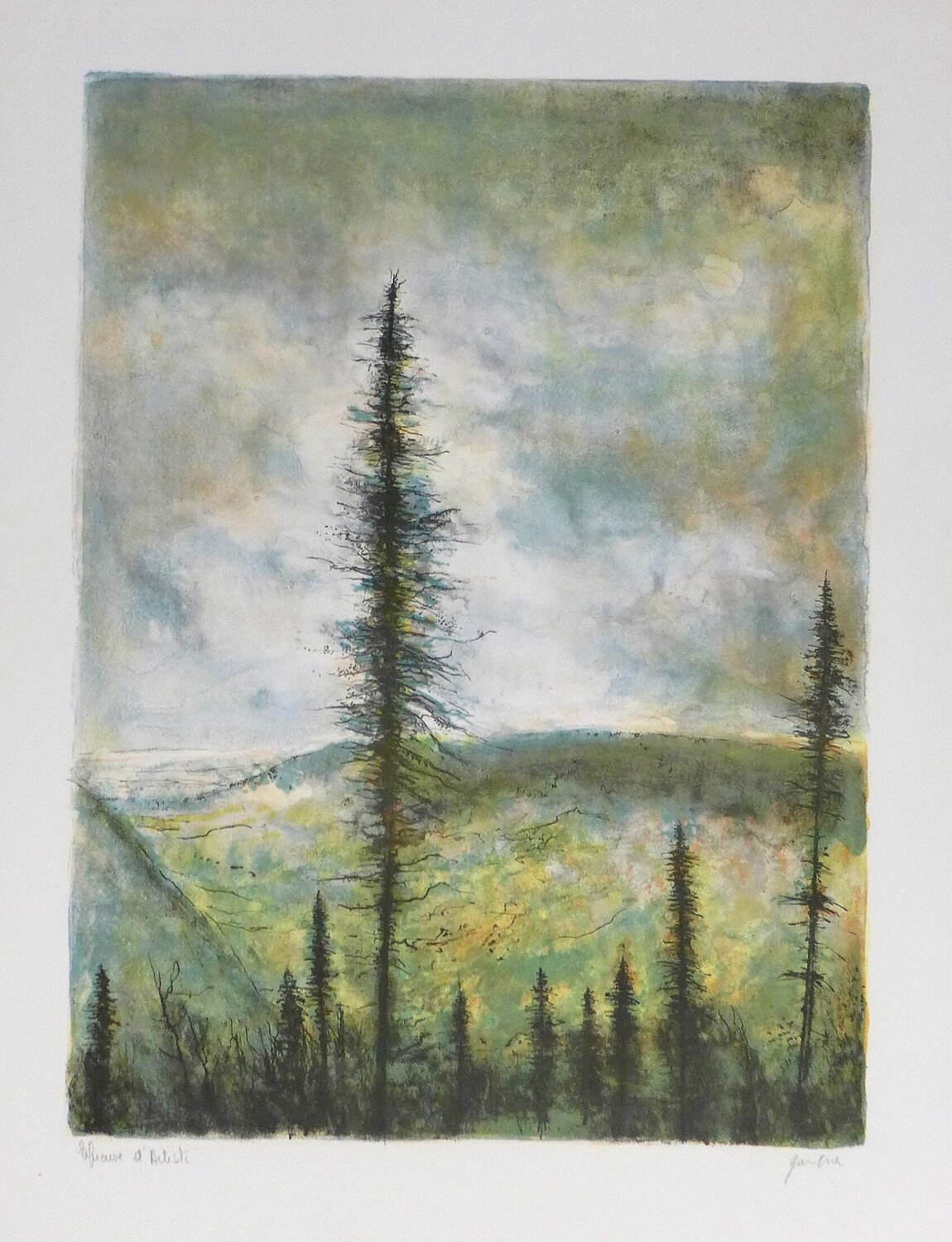 A travers les sapins Bernard Gantner