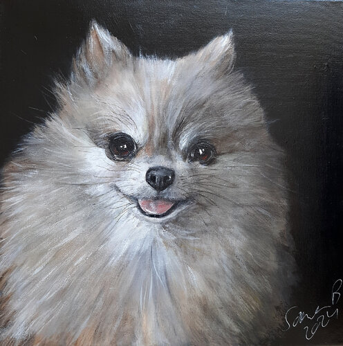 Kleine Elanie - Pommerian Zwergspitz by Sabine Brandenburg, 絵画 for Sale on Singulart