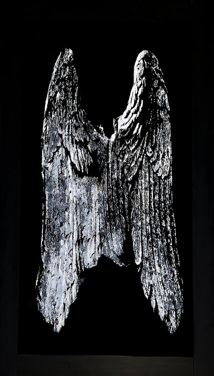 Old Wings Maurizio Rosella