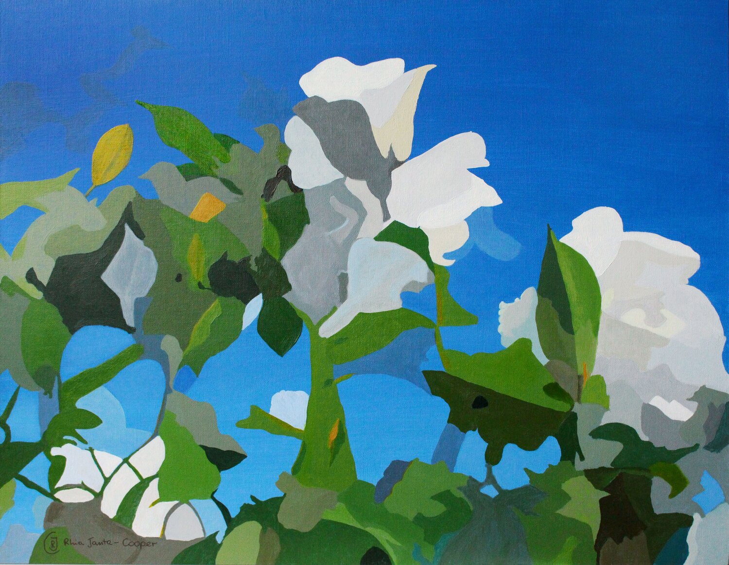 White Roses of York IV Rhia Janta-Cooper Dipinto originale in vendita
