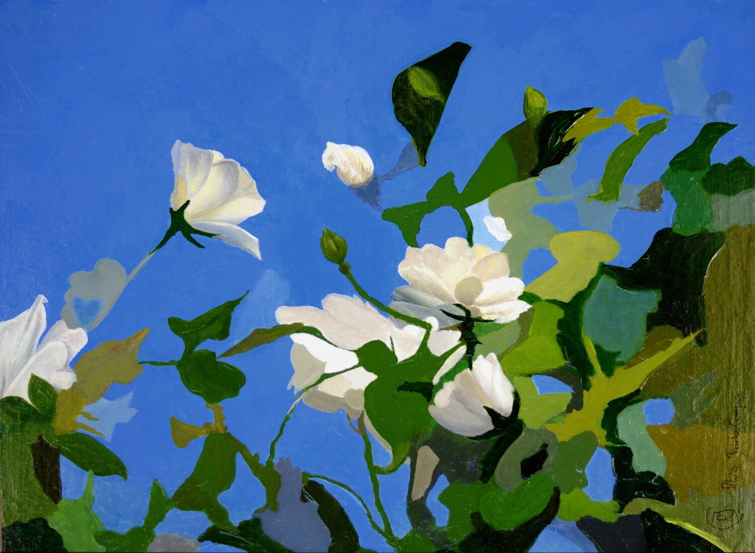 White Roses of York I Rhia Janta-Cooper Dipinto originale in vendita