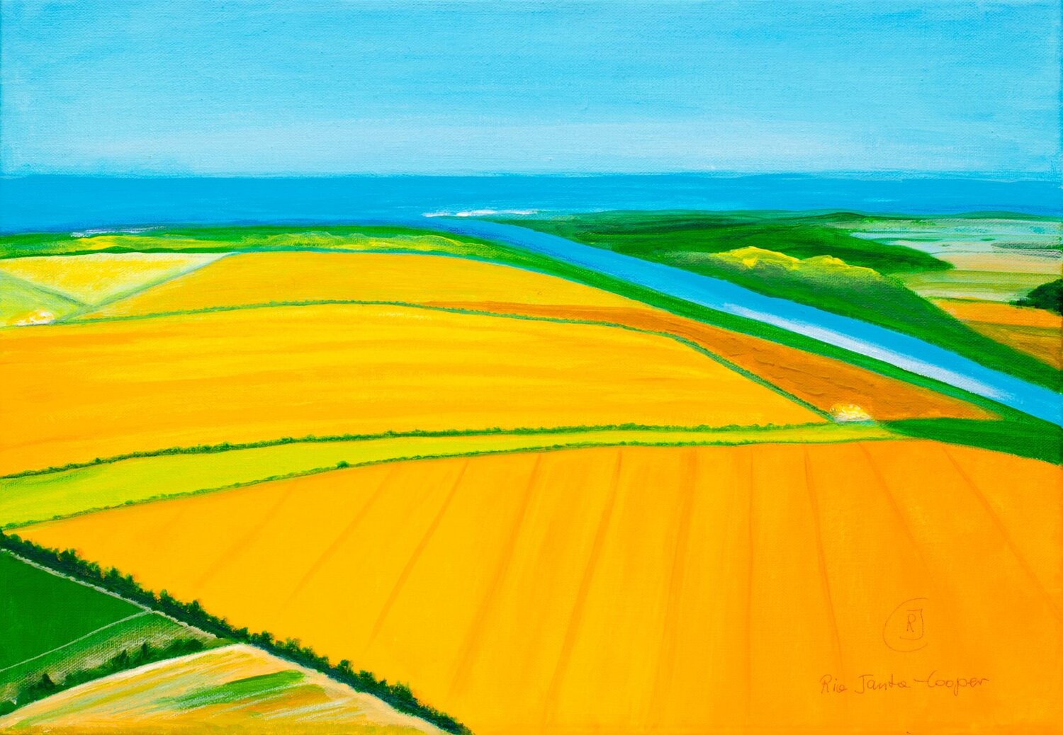 Yellow Summer Fields Rhia Janta-Cooper
