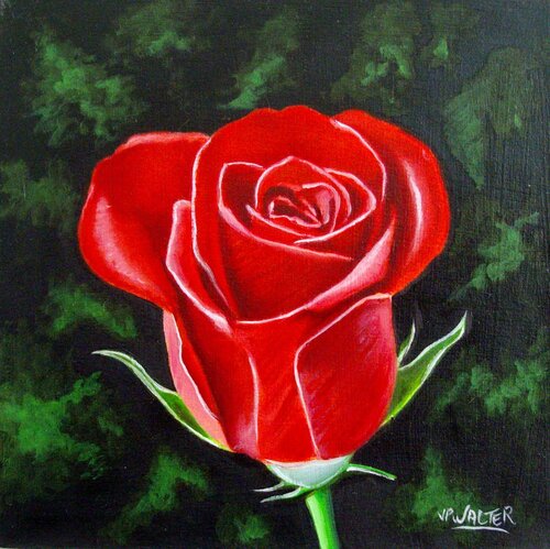 Rose Valentine // Valentine rose van Jean-Pierre Walter, Schilderij te koop op Singulart